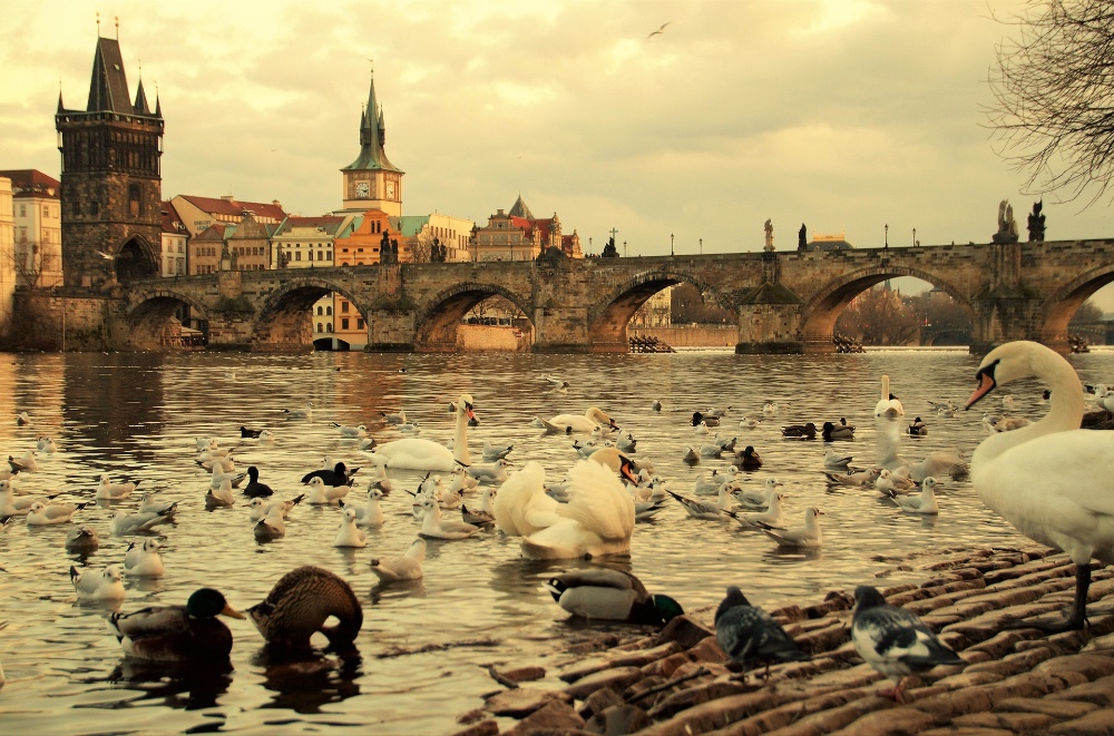 Puente de Carlos en Praga, con sus 30 esculturas barrocas